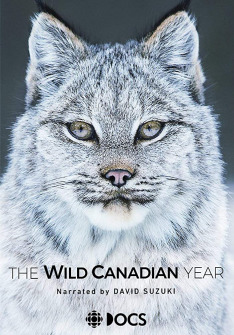 The Wild Canadian Year