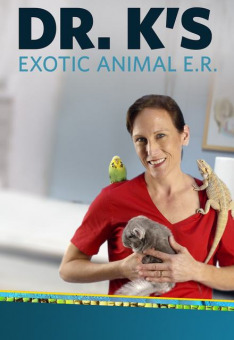 Pohotovost pro exotická zvířata / 08.05.2024, 12:49